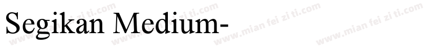 Segikan Medium字体转换